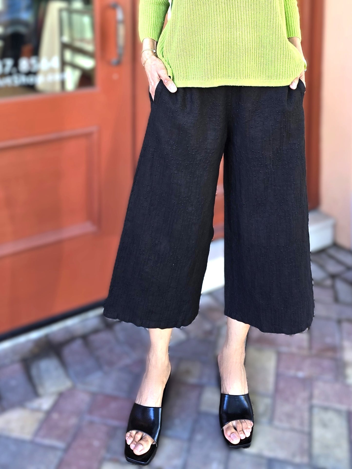 BlueBerry- Embroiled Linen Trouser/Black